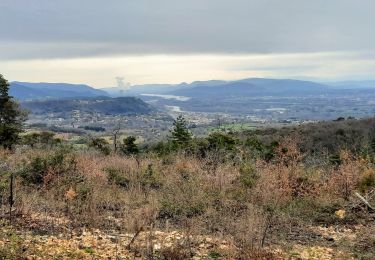 Randonnée Marche Le Teil - Le Teil Tour du Mont Rozier 11km - Photo