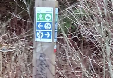 Tocht Stappen Eupen - balade entre fagnes et forêt  - Photo