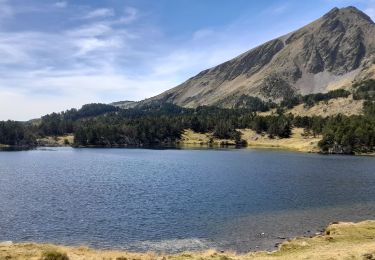 Excursión Senderismo Formiguères - les lacs 2023 - Photo