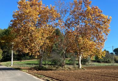 Randonnée Marche Aix-en-Provence - Les Milles tour du mont Robert - Photo