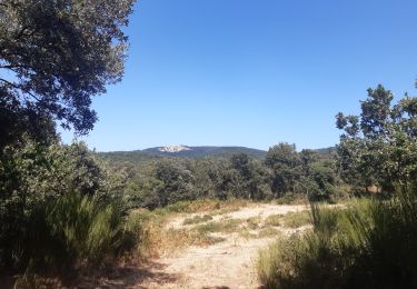 Tocht Stappen L'Albère - mas Reste . crêtes espagnoles . col Forcat . St Martin l Albere . mas Reste  - Photo