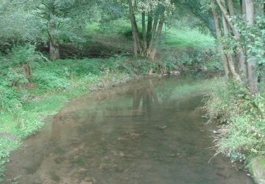 Tocht Te voet Schneeberg - Rundwanderweg Schneeberg Morretal 1: Scheerer-Weg - Photo