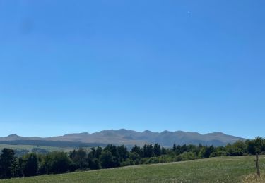 Tour Mountainbike Chambon-sur-Lac - Lac Chambon , Saigne et Beaune le Froid  - Photo