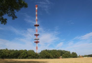 Percorso A piedi Meeder - Oberlauter - Donnerloch - Alexandrinenhütte - Photo