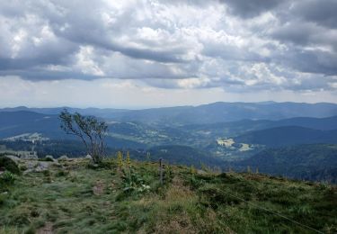 Randonnée Marche Orbey - Orbey coté Ouest - Photo