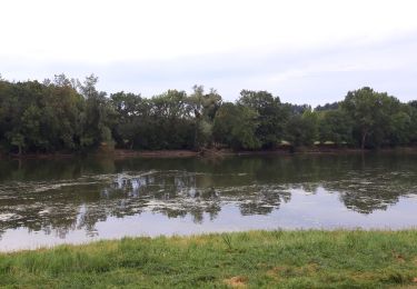 Randonnée Marche Bouchemaine - Bouchemaine - Photo