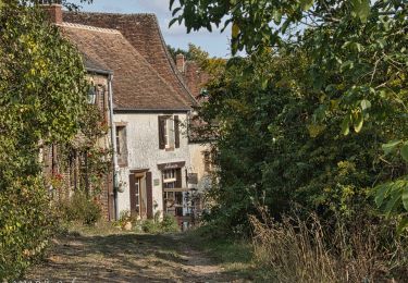 Randonnée Marche Moutiers-au-Perche - Le Mont Harou 3.8 Km - Photo