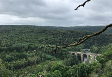 Trail Walking Herbeumont - RSIH - Herbeumont - Le Faité - Photo