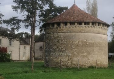 Tour Wandern Saint-Martin-la-Pallu - cheneché - Photo