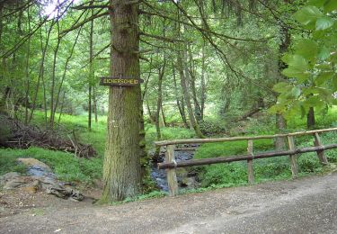 Trail On foot Simmerath - Flurheckenweg Eicherscheid - Photo