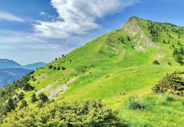 Trail Walking Le Vernet - Le Pinet - Les 3 Cabanes Via le Vernet - Photo