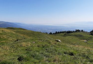 Tour Wandern Chézery-Forens - Cret de la Goutte 13.5 km D+650 m 20210811 - Photo