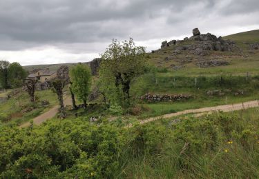 Tocht Mountainbike La Malène - roc des hourtous l esperou - Photo