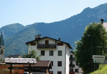 Tour Zu Fuß Sagron Mis - Intrecci del Tempo - Photo