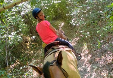 Trail Horseback riding Pisieu - Pisieu 2  - Photo