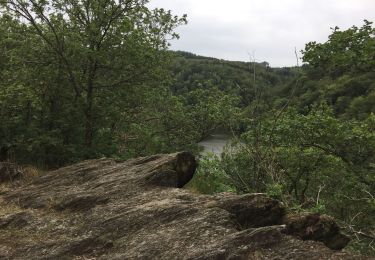 Tocht Stappen Houffalize - Ballade le long de l’eau - Photo