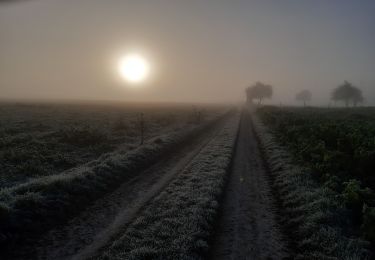 Trail Walking Serquigny - version de monbuisson - Photo