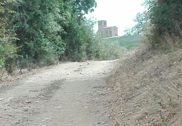 Tour Wandern Saint-Laurent-d'Agny - chapelle st Vincent 26-08-2020 - Photo