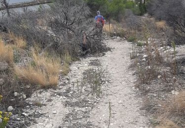 Trail Walking Peyriac-de-Mer - peyriac bages peyriac - Photo