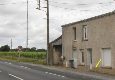 Randonnée A pied La Haie-Fouassière - Entre Sèvre et Côteaux - Photo