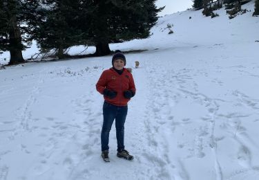 Randonnée Marche Luttenbach-près-Munster - Ried buchwald auberge petit ballon - Photo