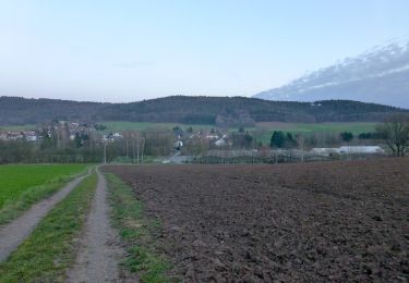 Randonnée A pied Grasellenbach - Rundwanderweg Wahlen 4: Rundwanderweg Wahlen - Photo