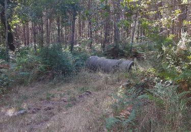 Trail Walking Rion-des-Landes - le maubay, Beyic, Maubay, Galleben, et retour - 9.5 - Photo