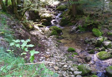 Tour Wandern Coiserette - Coiserette Gouffre Picard - Photo