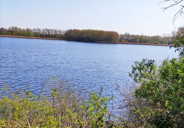 Tocht Stappen Bernissart - Les Marais d’Harchies  - Photo