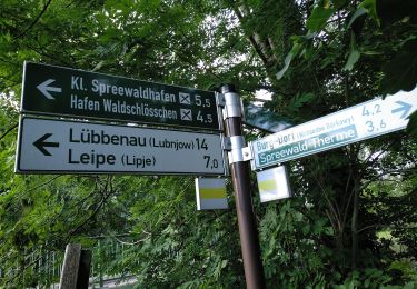 Randonnée A pied Lübbenau/Spreewald - Wanderweg Lübbenau-Leipe-Burg Kolonie - Photo