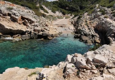 Trail Walking Bandol - Bandol, baie des nations  - Photo