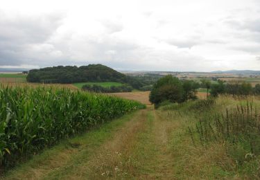 Tocht Te voet Niedenstein - Eco Pfad Kirchberg - B - Photo