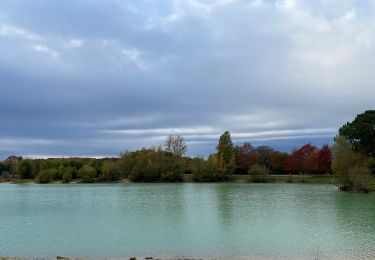 Tocht Stappen Canéjan - Le lac vert - canejan  - Photo