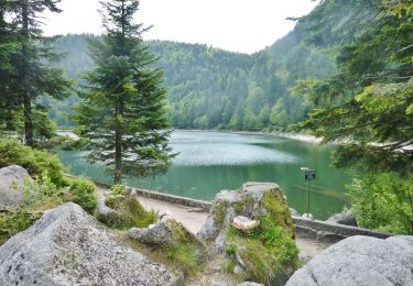 Tour Wandern Woll - SityTrail - Le Lac des Corbeaux - La Bresse - Photo