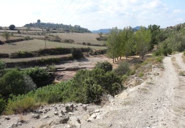 Tocht Te voet Manresa - M3 - Itinerari Els pous de glaç i la riera de Guardiola - Photo