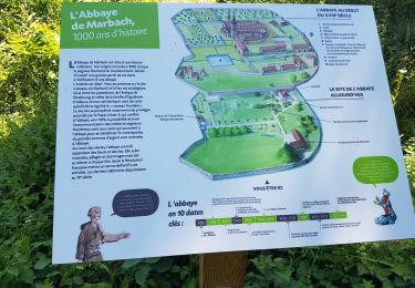 Trail Walking Vœgtlinshoffen - 2020-06-12 Abbaye de Marbach / Bildstoeckle - Photo