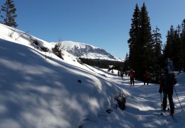 Randonnée Ski de randonnée Saint-Agnan-en-Vercors - vercors 12 02 20 - Photo
