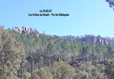 Randonnée Marche Le Muy - Pic du Castel Diaou -  Fille d'Isnard - Pic Rébéquier - Photo