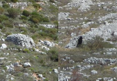 Excursión Senderismo Tourrettes-sur-Loup - Puy de Naouri de Tourrettes sur Loup - Photo