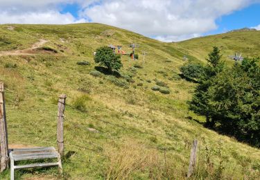 Excursión Senderismo Laveissière - Lioran 2023-08-07 tour du Puy Griou - Photo