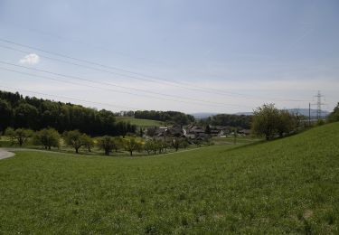 Randonnée A pied Embrach - Embrach Oberdorf - Tössegg Schiffsteg - Photo