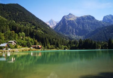 Excursión Senderismo Le Haut-Bréda - 20220823 Fond de France - Photo