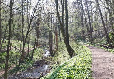 Trail Walking Huy - Ruisseau de Solieres - HUY - Photo