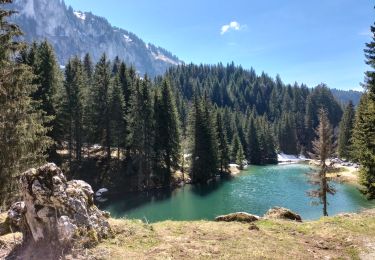 Trail Walking Vacheresse - Ubine, col d'Ubine, col des Mosses, chalets de Bise, lac de Fontaine - Photo