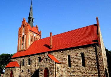 Tocht Te voet  - Szlak Pieszy Niebieski - Photo