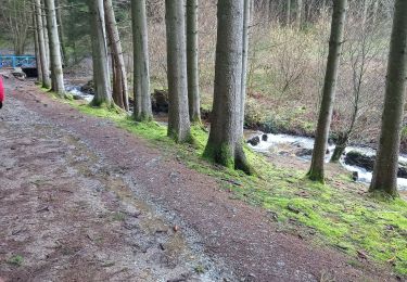 Tour Wandern Dreibrücken - extratrail trois ponts 10 km  - Photo