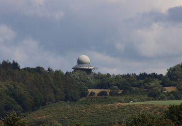 Tour Zu Fuß Ascheffel - Wanderroute 7: Tanne, Brekendorfer Forst - Photo