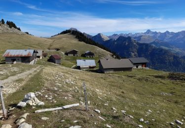 Trail Walking Fillière - GLIERES: CHALETS DES AUGES - Photo