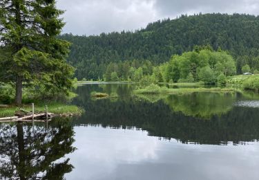 Tour Wandern Woll - Tour du lac de Lispach + tête de Grouvelin  - Photo