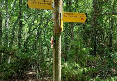 Trail Walking Monieux - gorge de la Nesque  - Photo